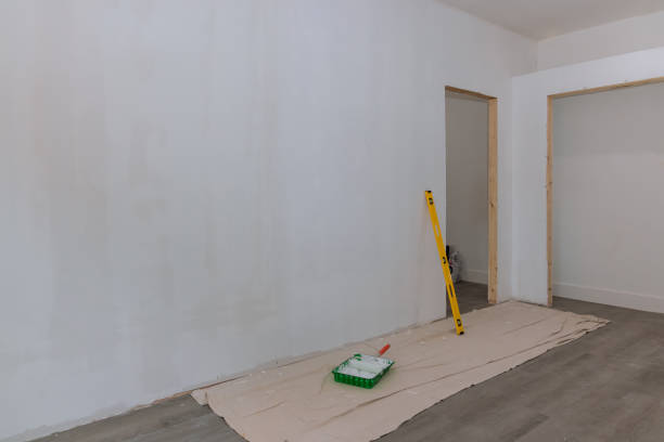 Best Repainting for Renovations  in Port Huron, MI